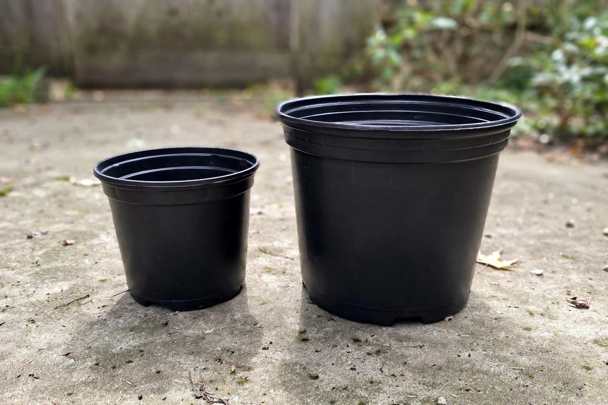 Five-gallon and ten-gallon black nursery pots side by side on a patio for size comparison